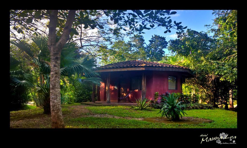 Hotel Mauna Loa Pinilla Chambre photo