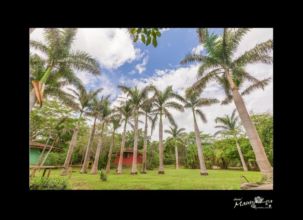Hotel Mauna Loa Pinilla Extérieur photo