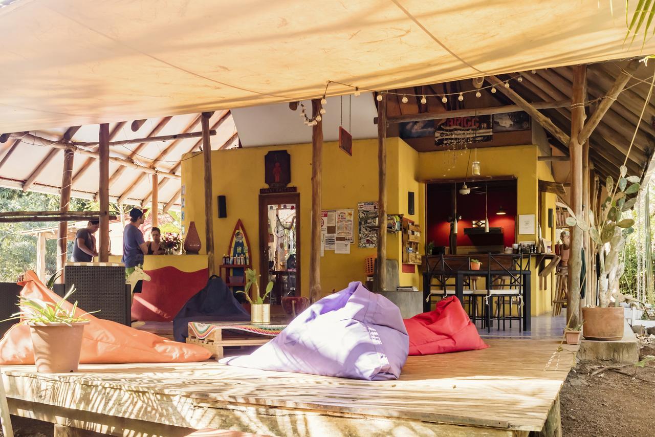 Hotel Mauna Loa Pinilla Extérieur photo