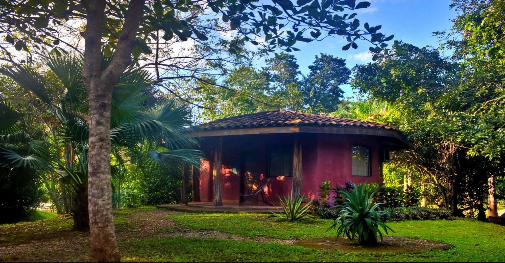 Hotel Mauna Loa Pinilla Extérieur photo